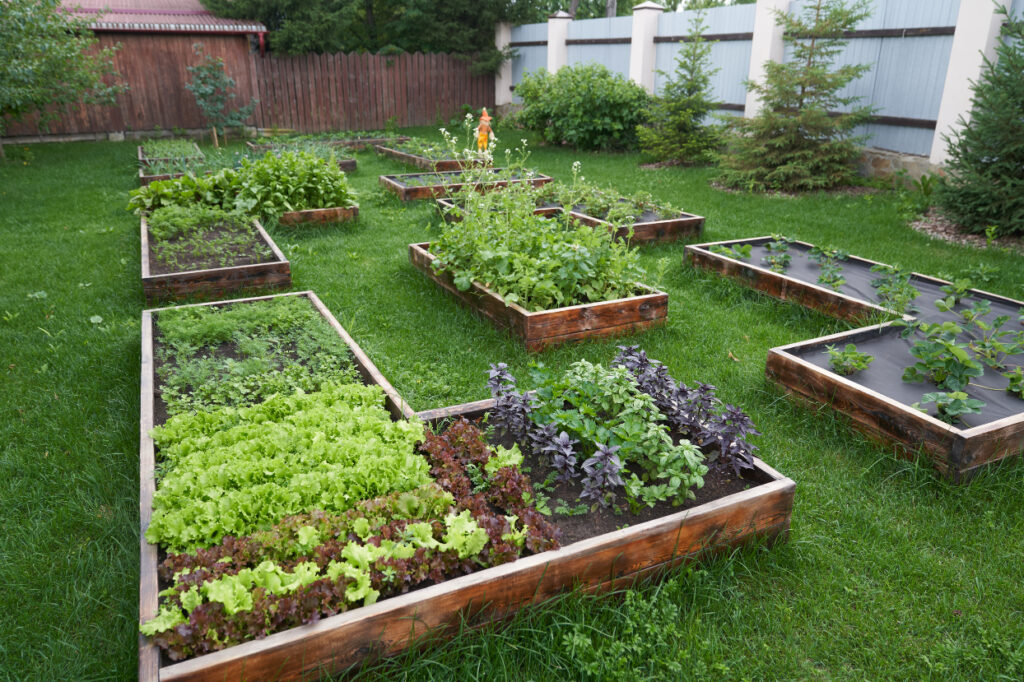 Productive Homestead Garden