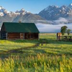 Wood Burning vs Solar Heating: Pros and Cons