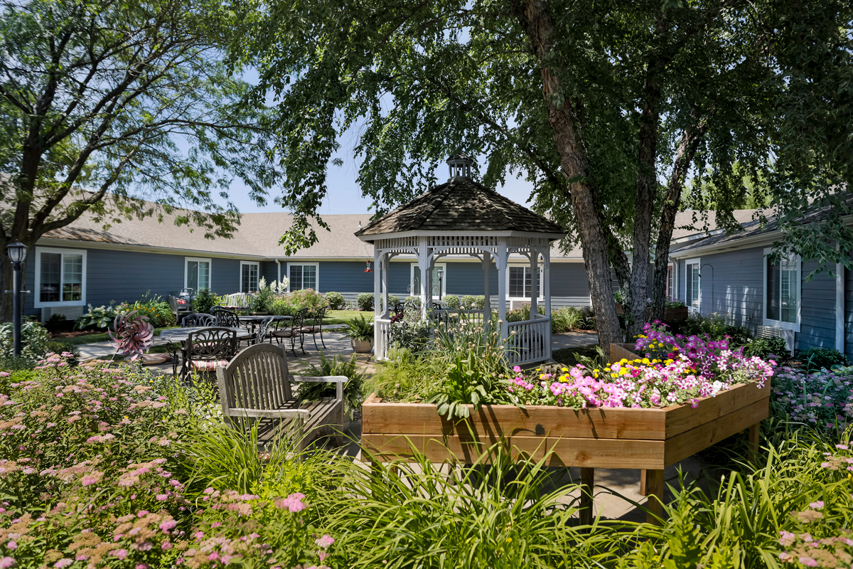 shade trees for 15 acre homestead