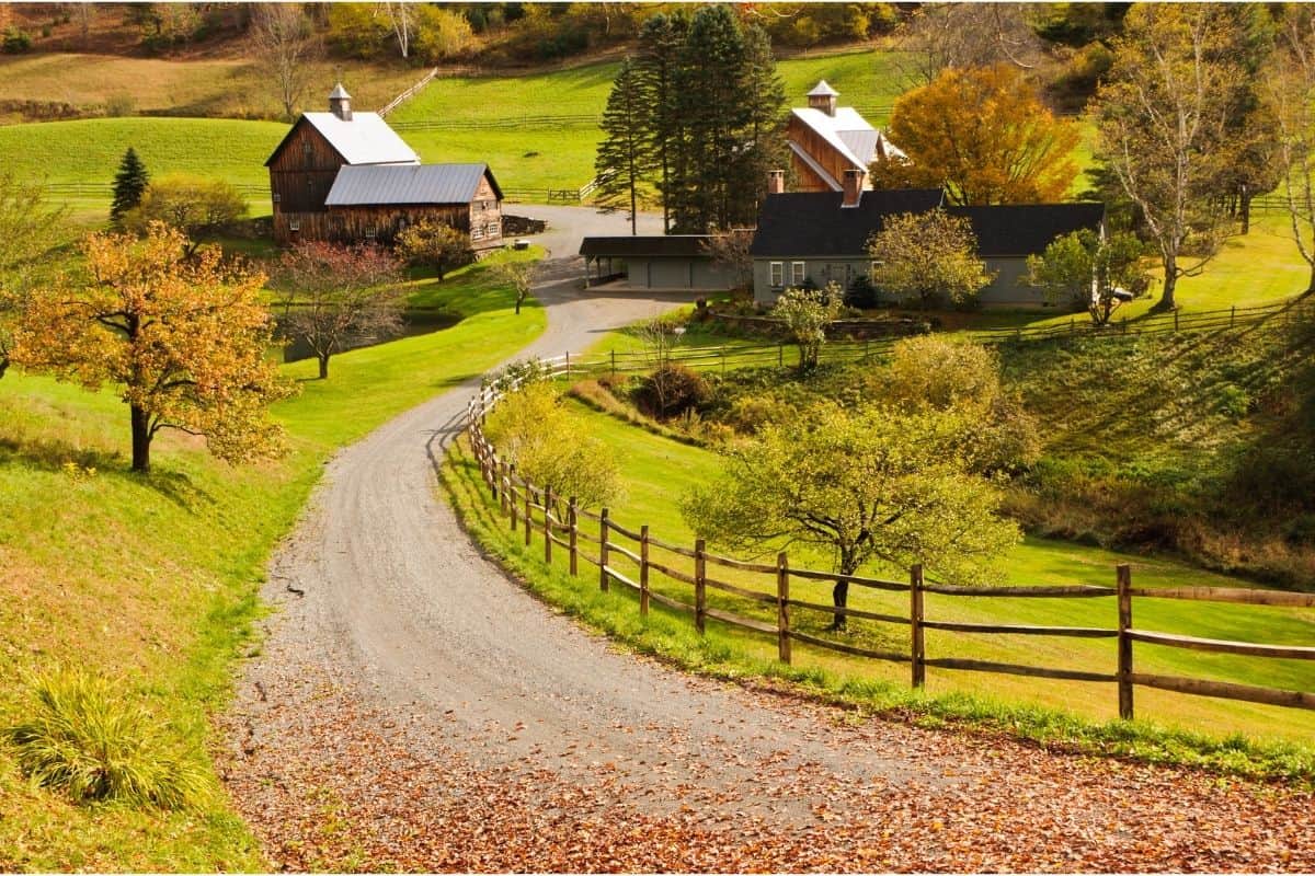 mulching techniques for 15 acre homestead
