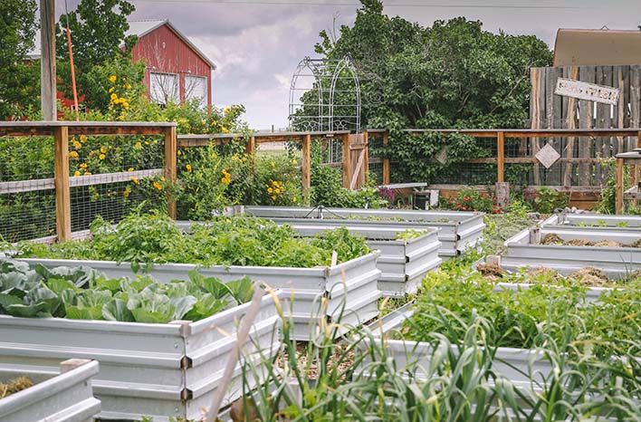 neighbors on 15 acre homestead
