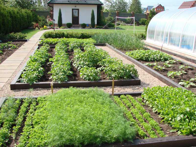 compost tea brewing 15 acre homestead