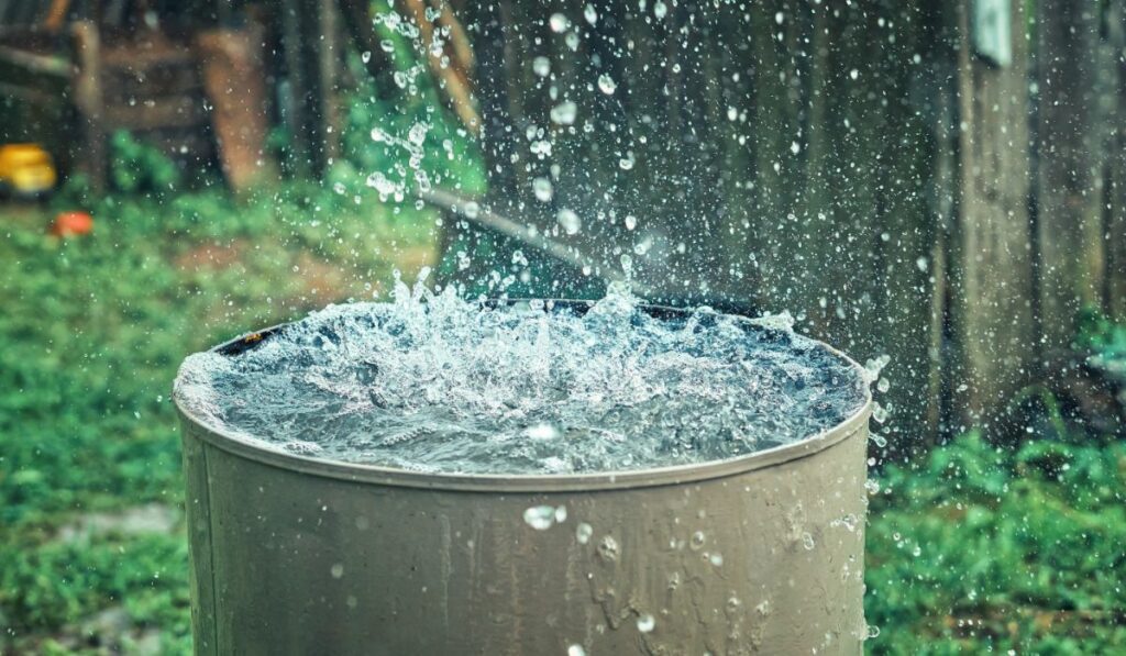 Rainwater Harvesting, Solar Power, and More: Our Sustainability Journey