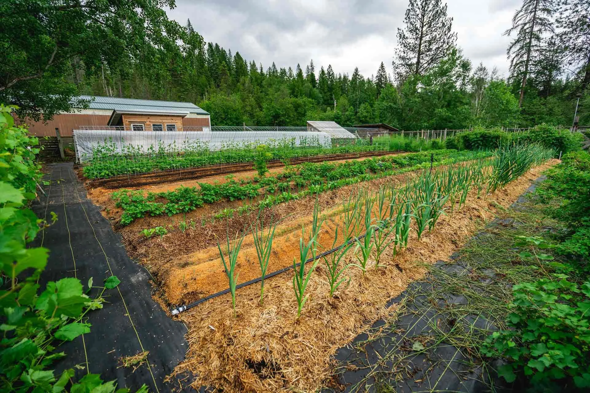 Step Inside Our Homestead Gardens, Barns, and More