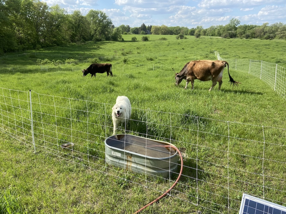 podcast topics 15 acre homestead