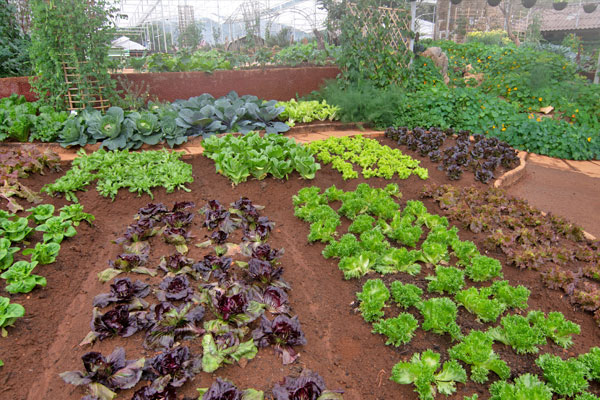 eco-friendly 15 acre homestead tips
