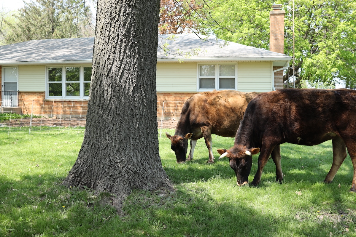 wildlife photography 15 acre homestead