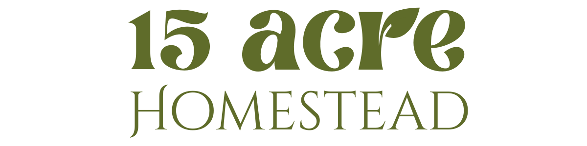 15 Acre Homestead