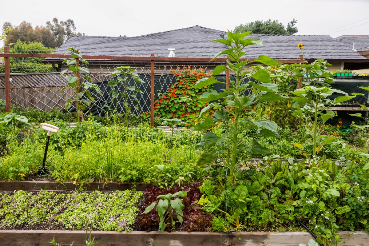 swales for 15 acre homestead