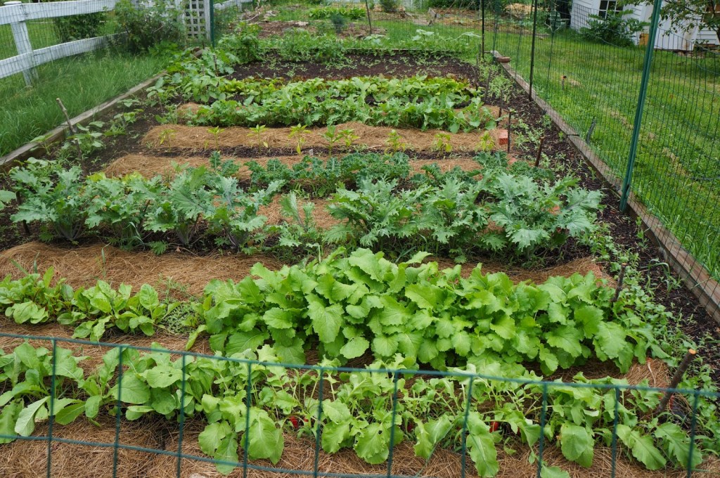 podcast topics 15 acre homestead
