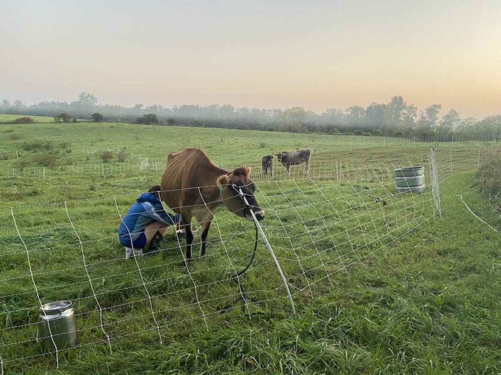 15 acre homestead income diversification