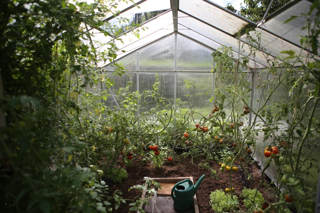 YouTube channel 15 acre homestead