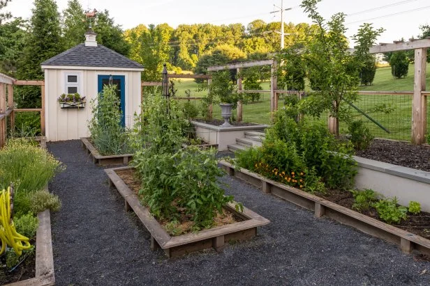 how to start a homestead garden