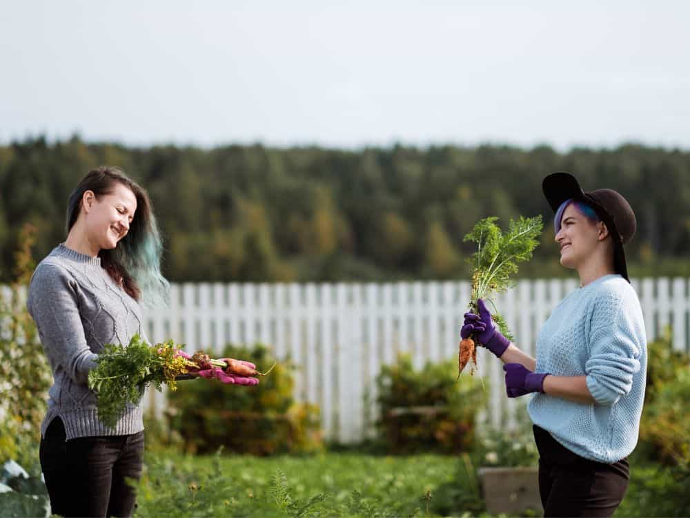how to live self-sufficiently at home