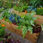 Aquaponics for Urban Homesteads: A Modern Farming Solution