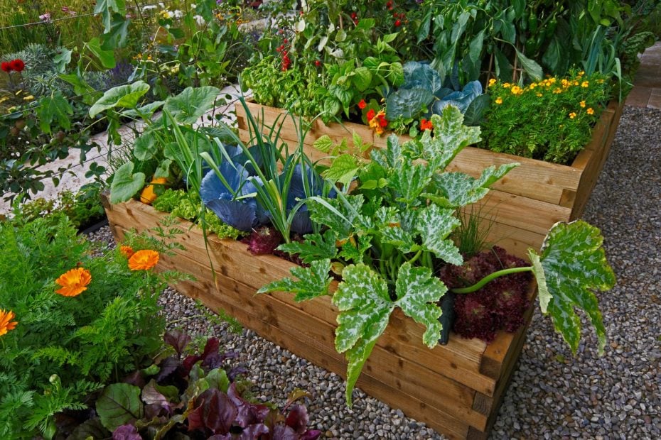 freezing food for long term storage