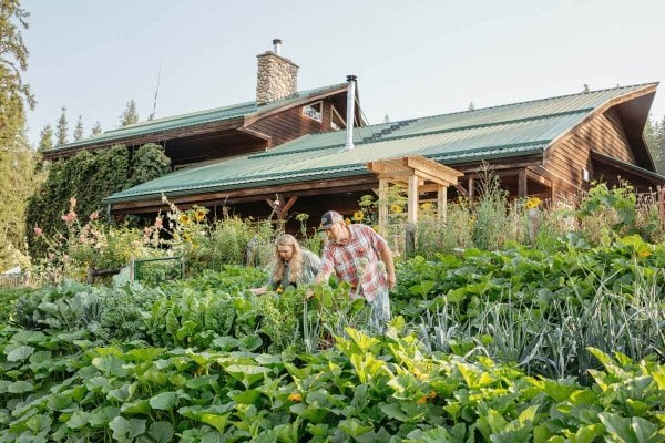 homesteading in rental properties