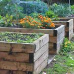 Teaching Kids Homestead Skills: A Guide for Future Generations