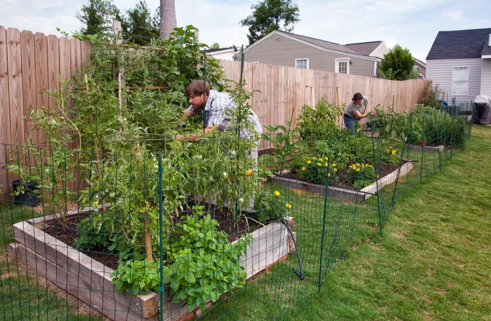 how to reduce waste on the homestead