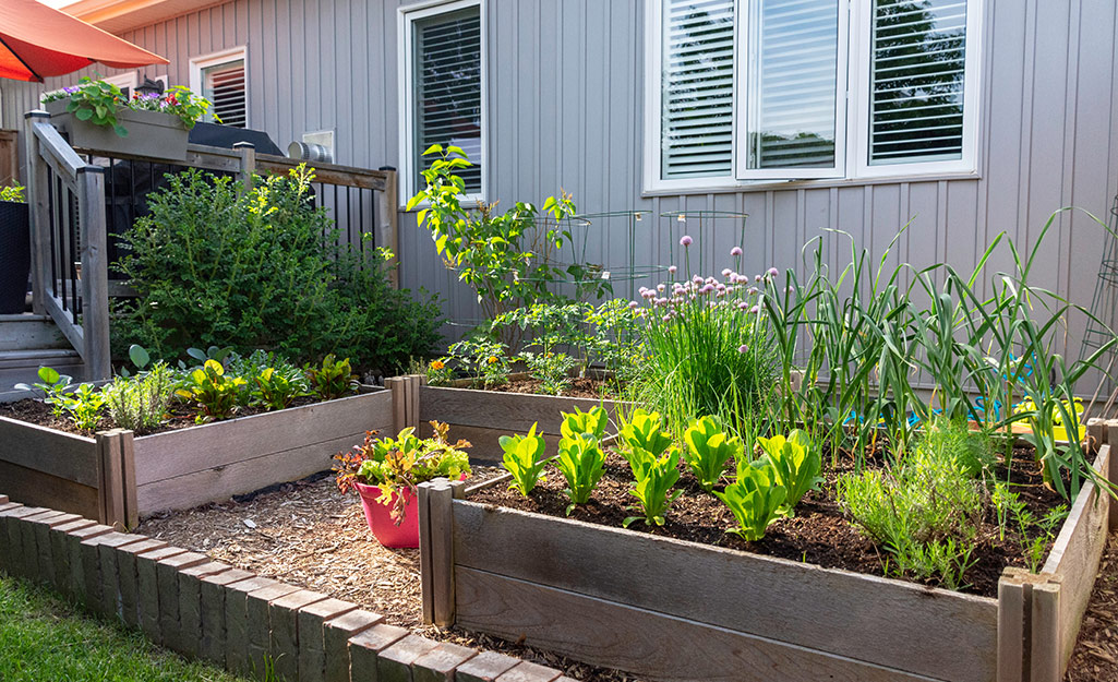 how to reduce waste on the homestead