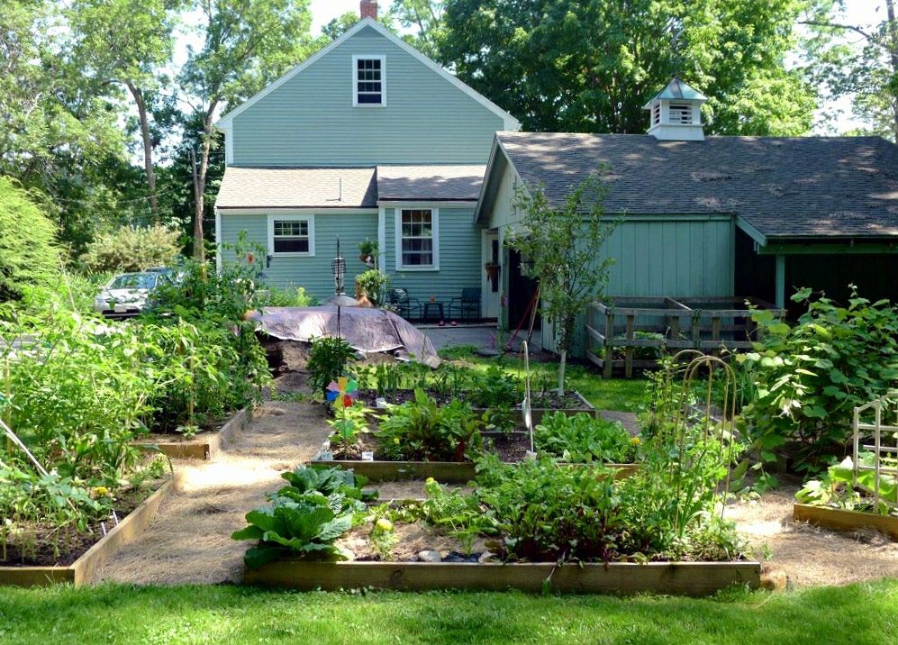 fermenting foods at home