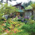 How to Start a Homestead Garden: A Beginner’s Guide