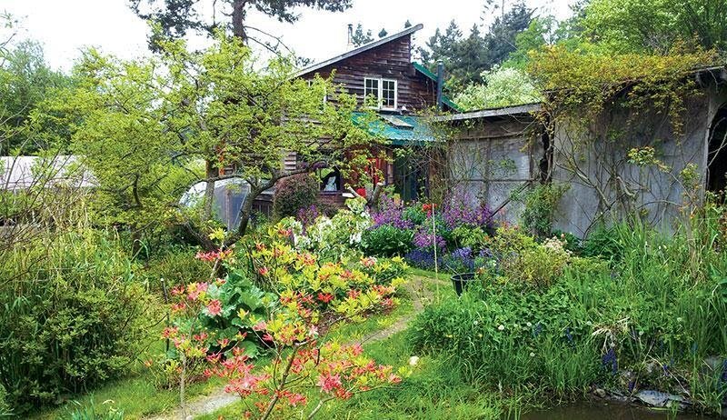 Homestead at Home