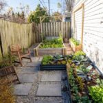 Suburban Homesteading Guide: Your Path to Self-Sufficiency