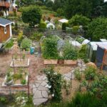 Raised Bed Gardening for Homesteads: A Homesteader’s Guide