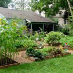 How to Start Homesteading in Your Backyard: A Comprehensive Guide