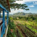 Building a Sustainable Home from the Ground Up