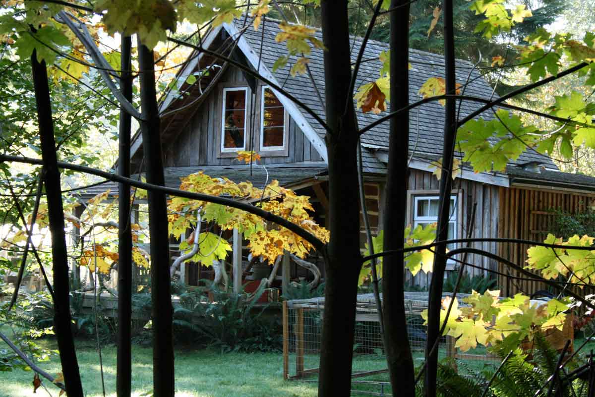 eco friendly gardening ideas Creative Eco-Friendly Gardening Ideas