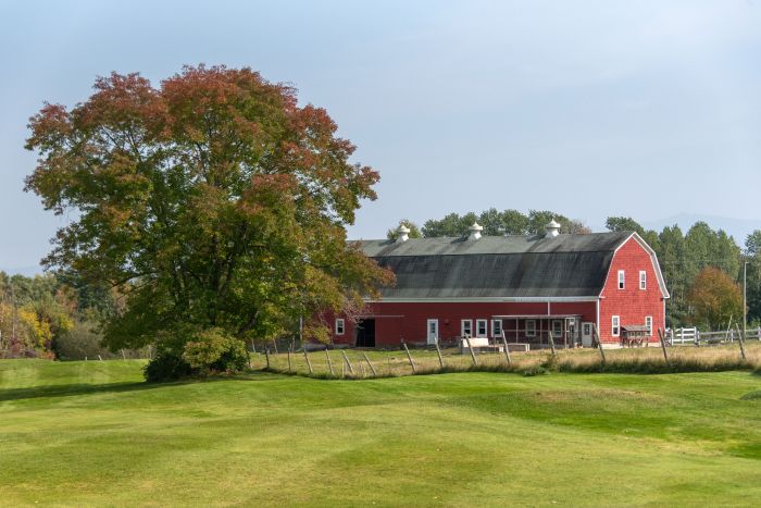 how to live sustainably on a farm How to Live Sustainably on Your Farm