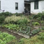 Natural Insulation Methods That Really Work