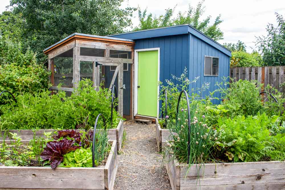 container gardening for beginners Container Gardening for Beginners