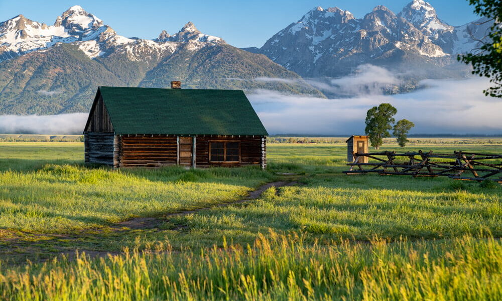 DIY animal shelters DIY Animal Shelter Projects