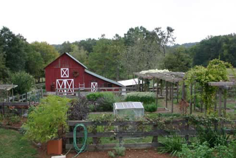 greywater reuse on a homestead Greywater Reuse Ideas for Homesteads