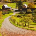 How to Live a Plastic-Free Life