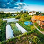 How to Make Eco-Friendly Candles at Home