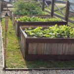 Living a Sustainable Homesteading Lifestyle