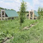 Modern Eco Homestead Design Ideas