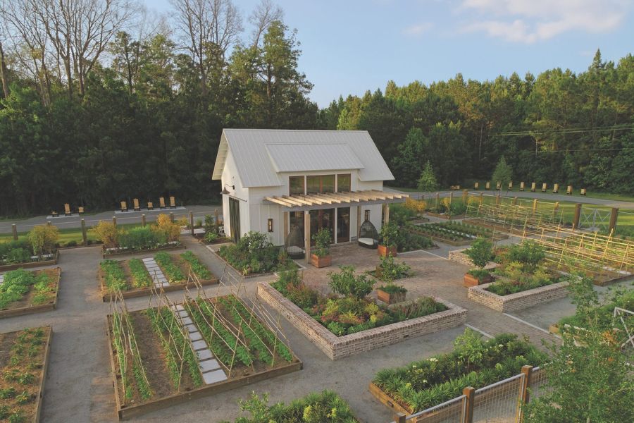 native plant gardening Native Plant Gardening Made Simple