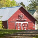 Natural Paint Options for Your Home