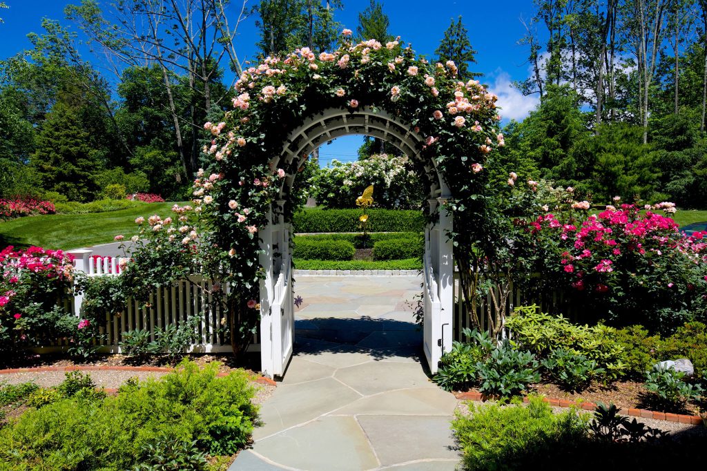 off grid solar setup guide Off-Grid Solar Setup Guide