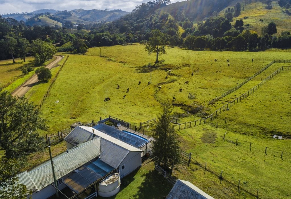 rewilding your backyard Rewilding Your Backyard: How to Start