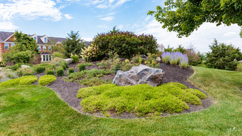 soil health improvement tips Soil Health Improvement Tips