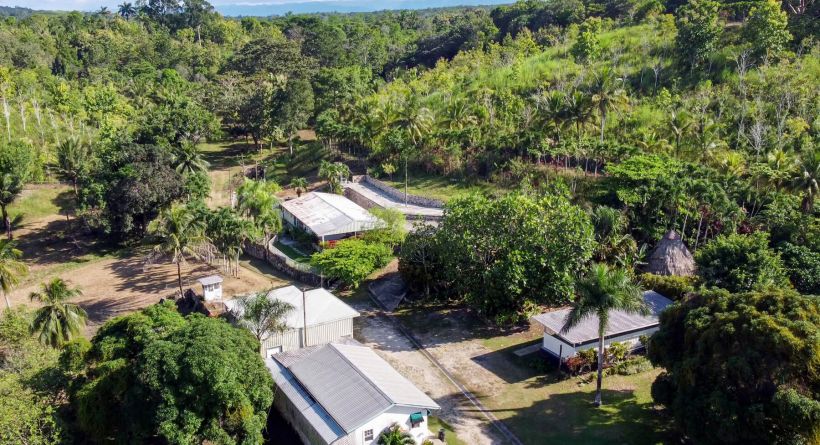 soil health improvement tips Soil Health Improvement Tips