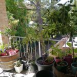 Sustainable Food Storage Ideas for Homesteaders