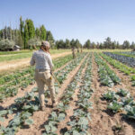 Sustainable Kitchen Swaps That Save Money