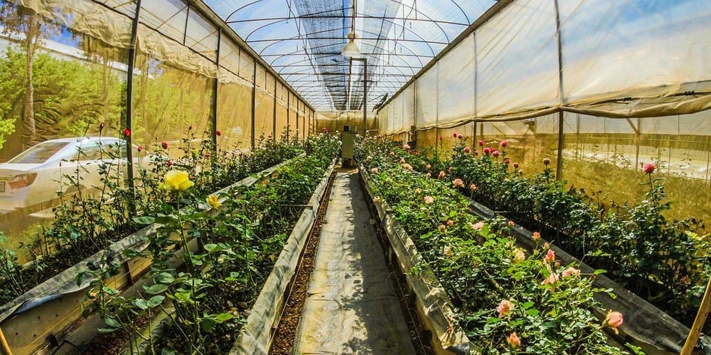 How to start small-space homesteading How to Start Small-Space Homesteading From Scratch